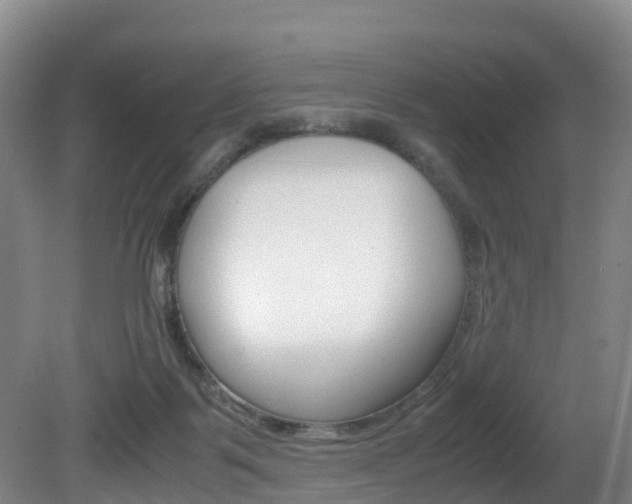 X0000081570123200701151036