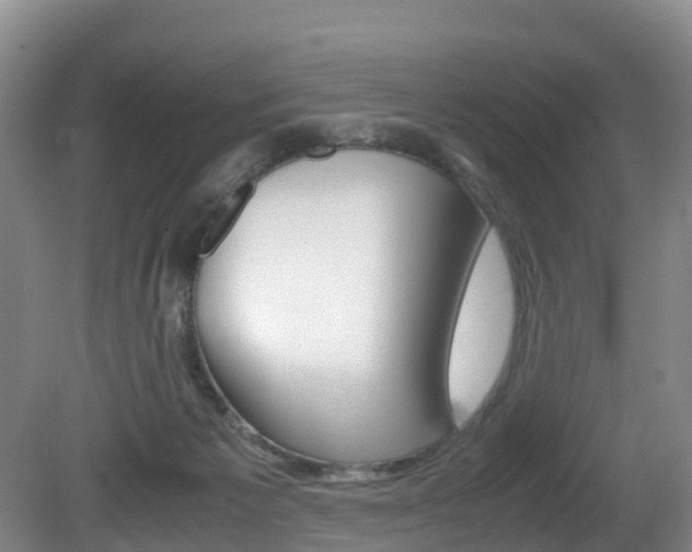 X0000081570125200701151036