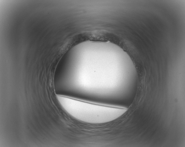 X0000081570129200701151036