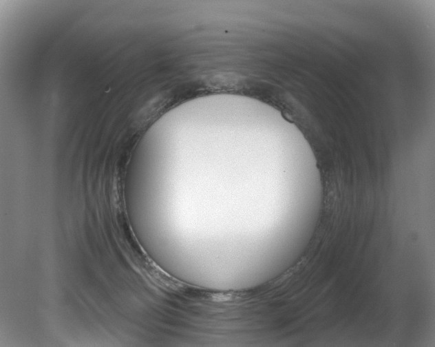 X0000081570130200701151036