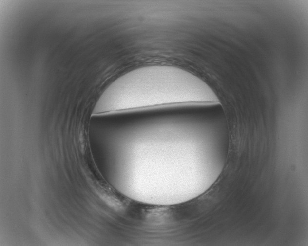 X0000081570132200701151036