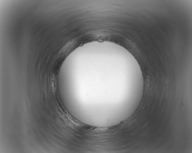 X0000081570138200701151035