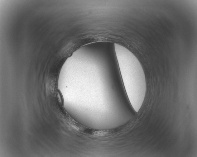 X0000081570139200701151035