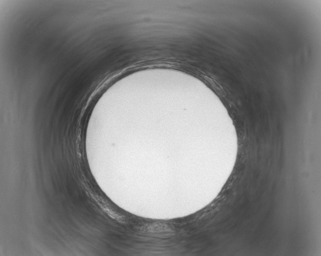 X0000081570146200701151035