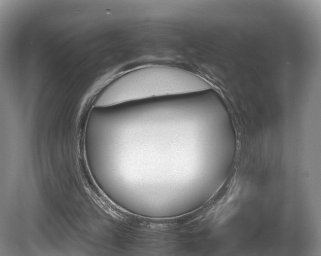 X0000081570149200701151035
