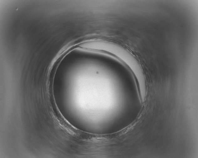 X0000081570150200701151035