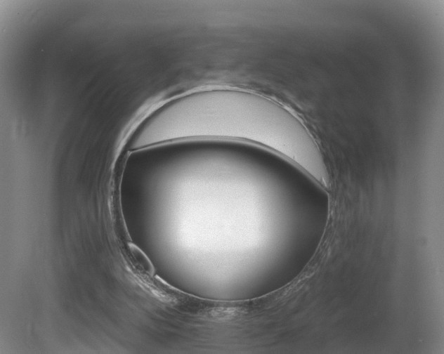 X0000081570152200701151035