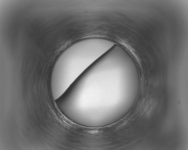 X0000081570153200701151035