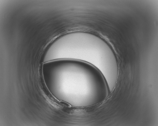 X0000081570154200701151035