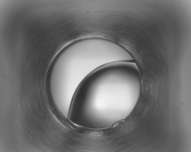X0000081570156200701151035