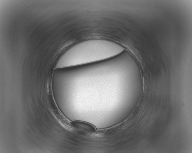 X0000081570157200701151035