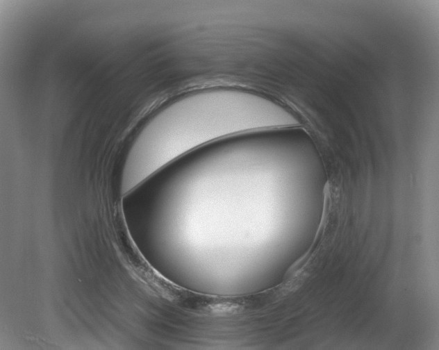 X0000081570158200701151035