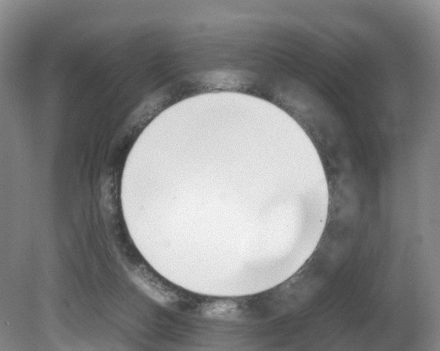 X0000081570162200701151035