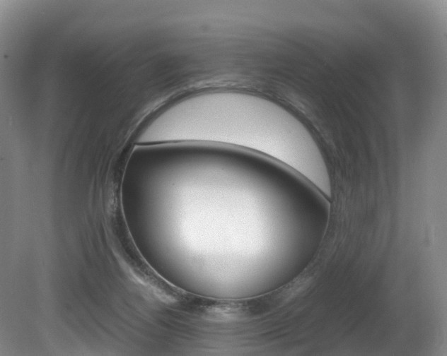 X0000081570164200701151035