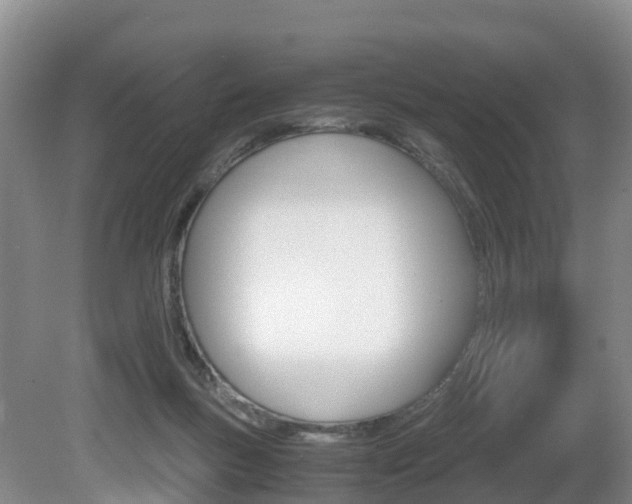 X0000081570167200701151035