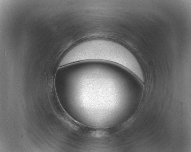 X0000081570168200701151035