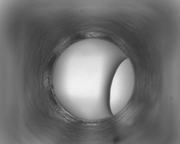 X0000081570169200701151035
