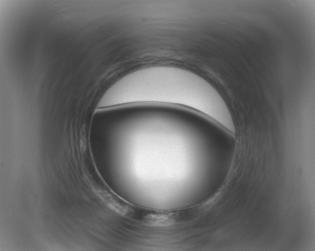 X0000081570170200701151035