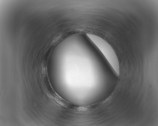 X0000081570176200701151035