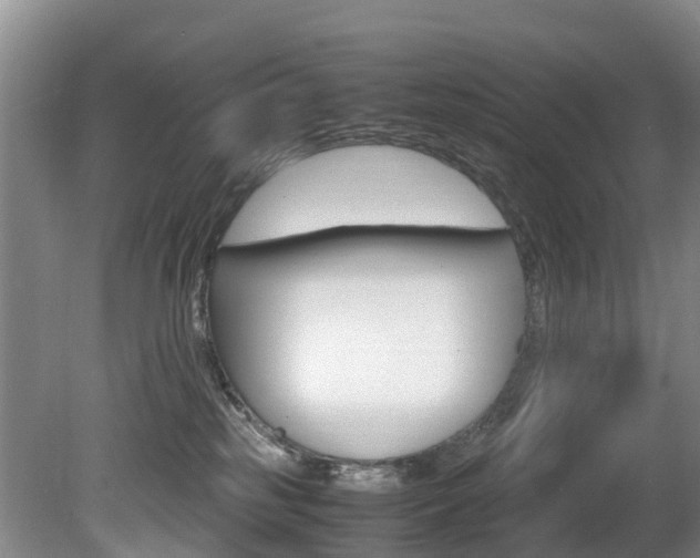 X0000081570185200701151035