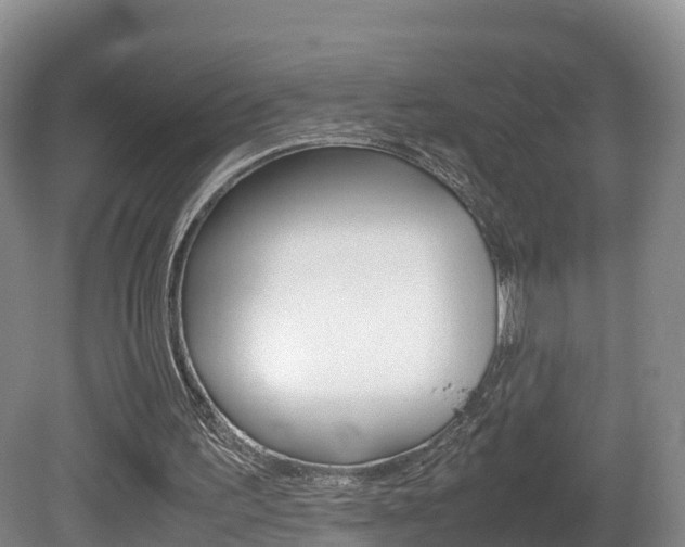 X0000081570195200701151034