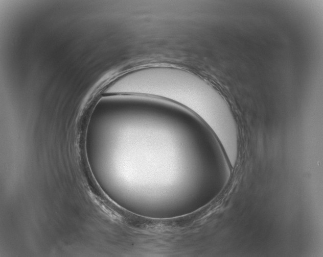 X0000081570197200701151034