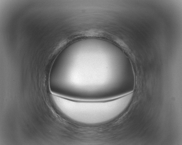 X0000081570201200701151034