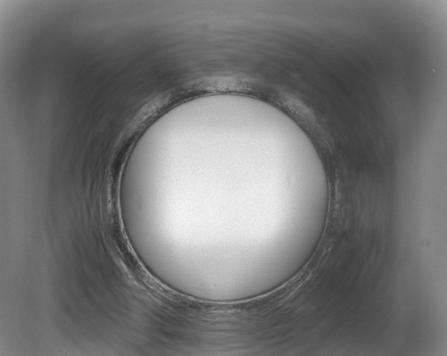 X0000081570202200701151034