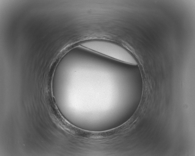 X0000081570203200701151034