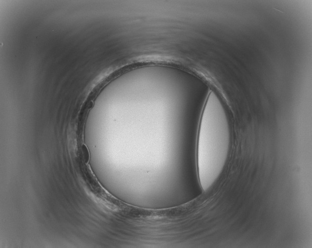 X0000081570204200701151034