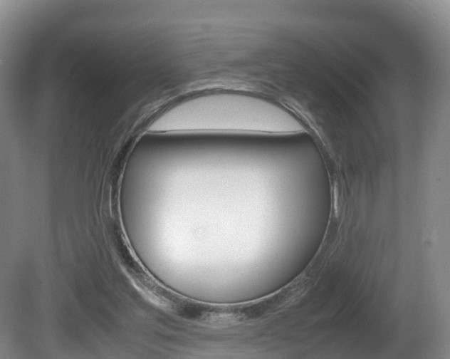 X0000081570205200701151034