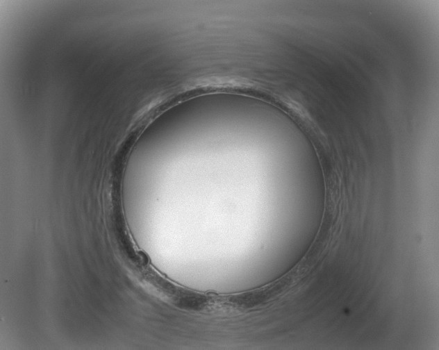 X0000081570207200701151034