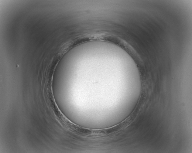 X0000081570209200701151034