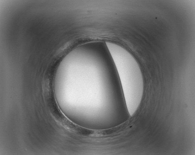 X0000081570211200701151034