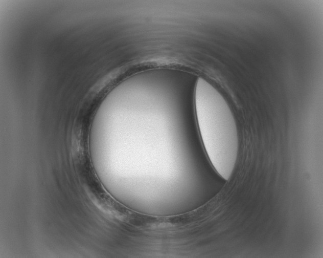 X0000081570212200701151034