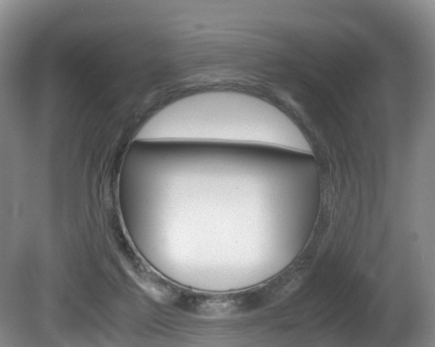 X0000081570213200701151034