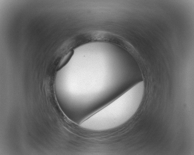 X0000081570217200701151034