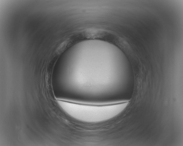 X0000081570219200701151034
