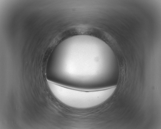 X0000081570221200701151034