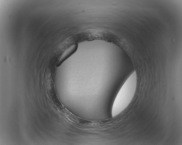 X0000081570223200701151034