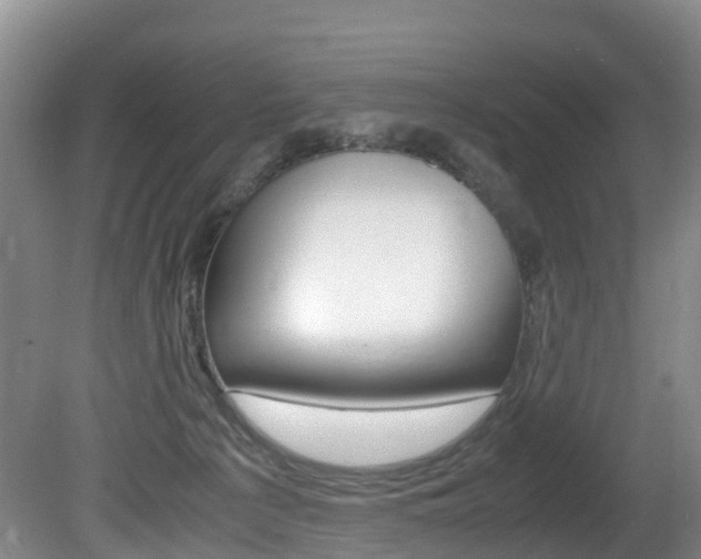 X0000081570225200701151034