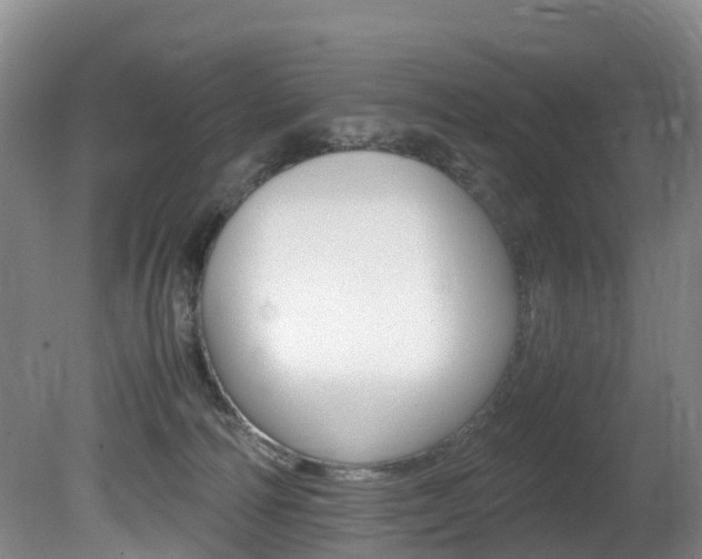 X0000081570226200701151034