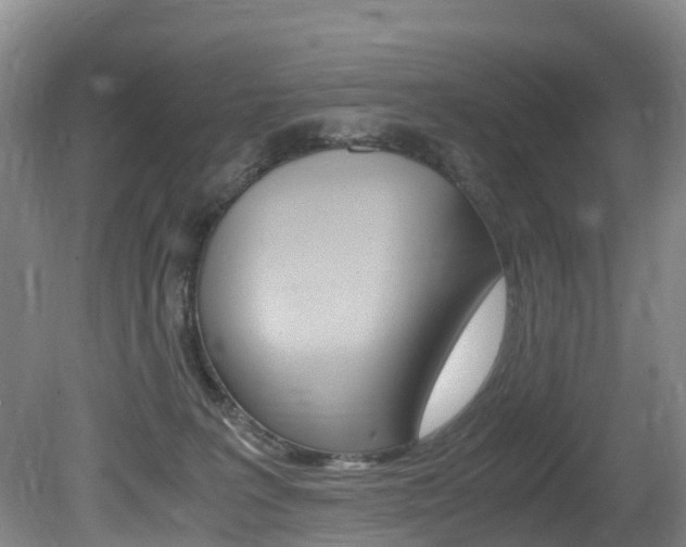 X0000081570227200701151034