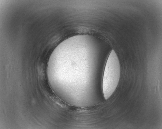 X0000081570228200701151034