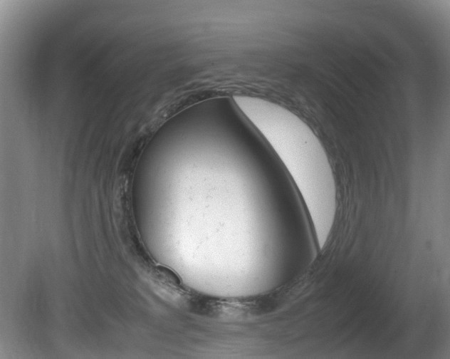 X0000081570229200701151034