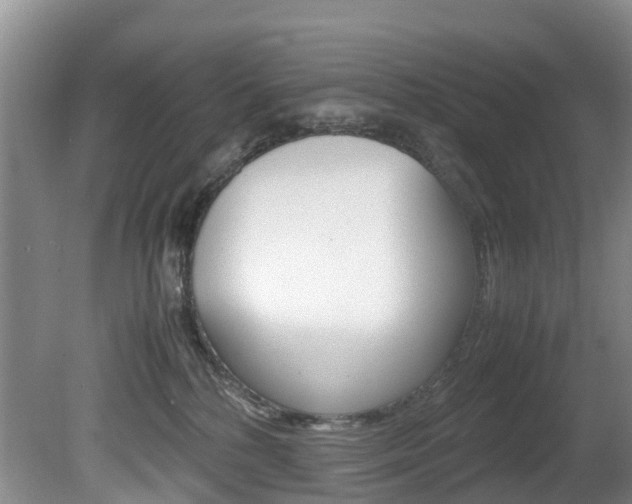 X0000081570232200701151034