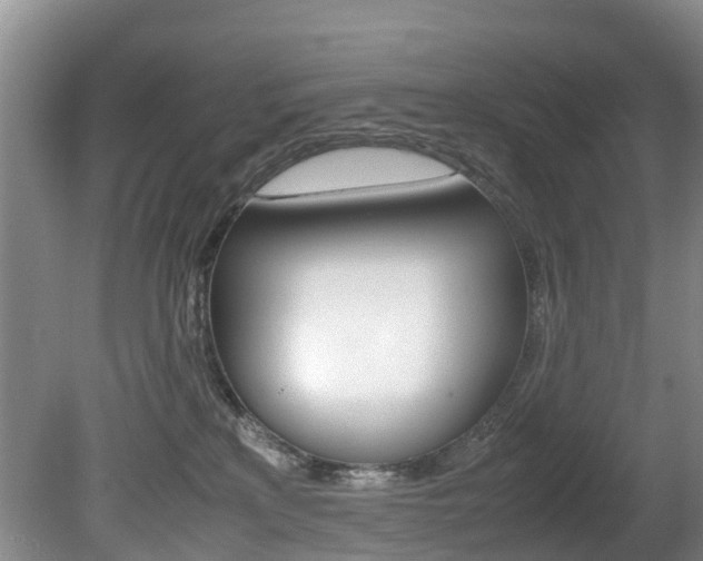 X0000081570233200701151034