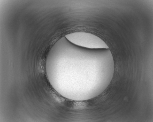 X0000081570234200701151034