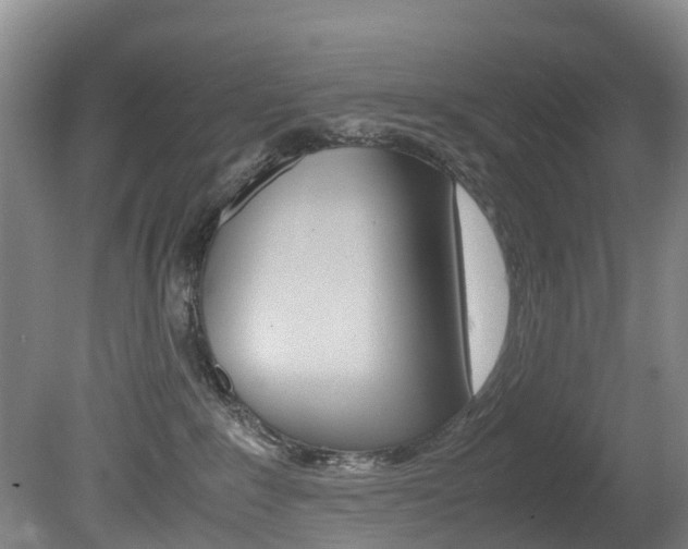 X0000081570235200701151034