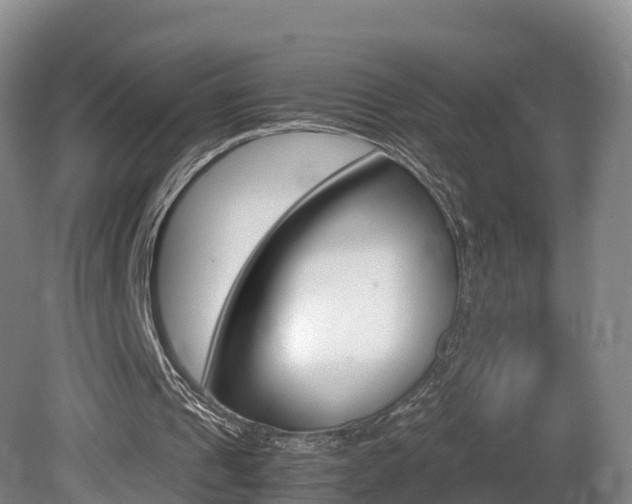 X0000081570241200701151033